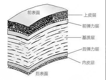 深圳近视手术可以用社保卡吗