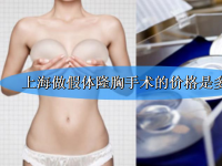 爱美人士谈谈上海做假体隆胸手术的价格是多少